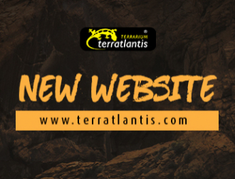TERRATLANTIS' BRAND HAS NOW ITS OWN WEBSITE