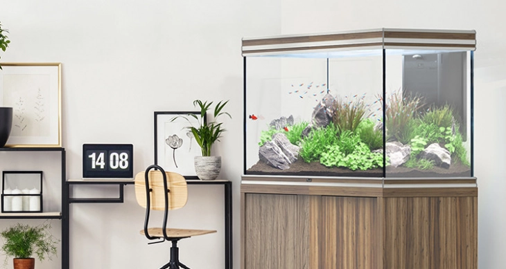 TWO NEW COLOURS FOR THE FUSION AQUARIUMS