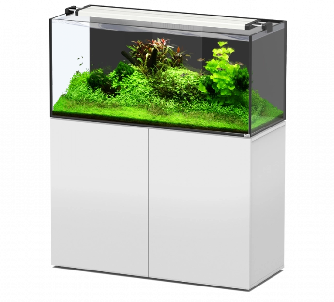 AquaView Aquarium avec éclairage LED et filtre d'alimentation 10 l :  : Animalerie