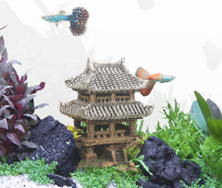 Asie :: Aquatlantis Aquarium - Aquariums & Accessoires