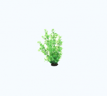 AD HIGH PLANT GREEN
